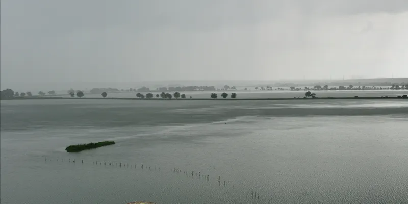 Kolkata's Wetlands &nbsp;is a biodiversity &nbsp;hotspot&nbsp;