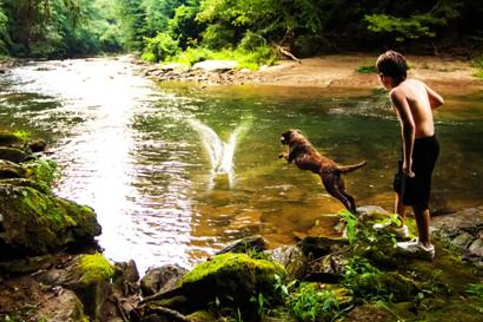 Interactive games for kids and dogs to play together!