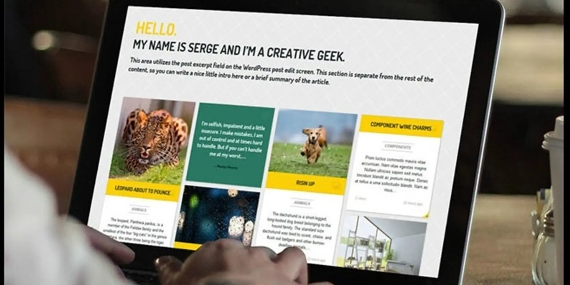 Your key to success: choosing the right WordPress theme for the website
