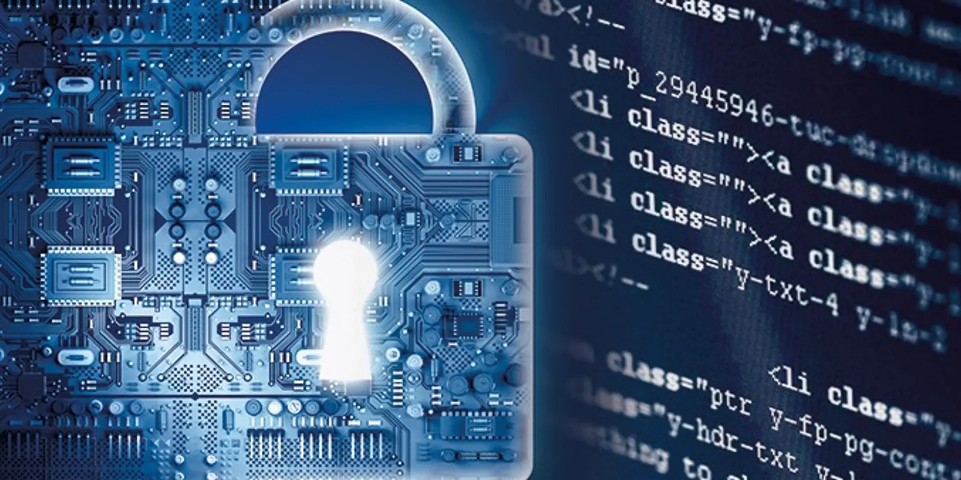 The Future of Cyber Security