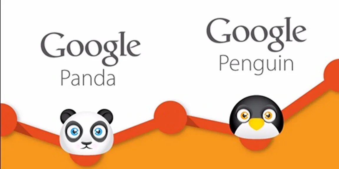 Things to Know About Google Panda & Penguin Updates