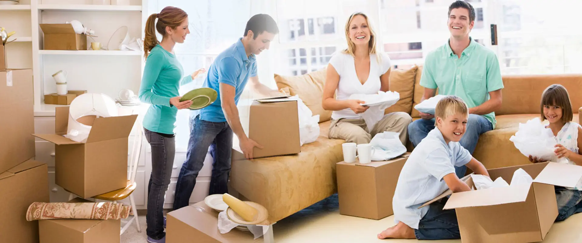 Move plants safely with movers and packers