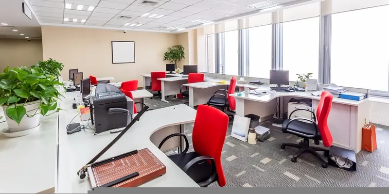 Natural lighting and indoor plants give this office space a fresh, productive look.