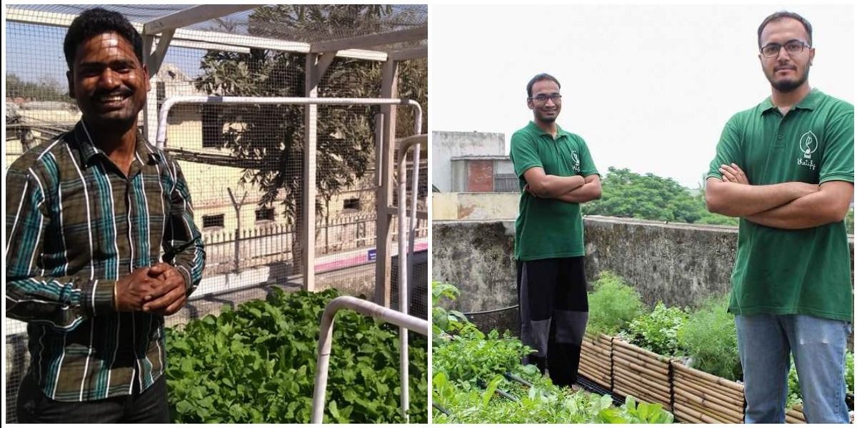छत पर उगाएं सब्जियां, सेहत के साथ लाखों कमाने का मौका भी