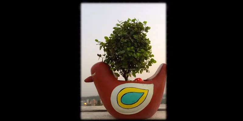 Bird planter