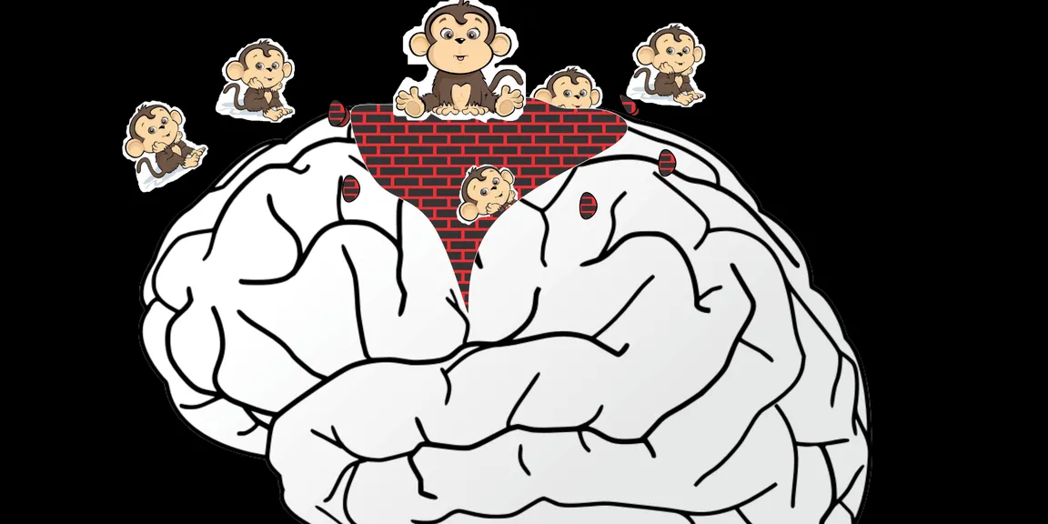 Early childhood brain development-Whats The science  dude?
