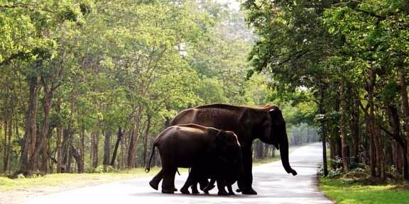 വയനാട് ജില്ല ഇനി ഒ ഡി എഫ് ജില്ല
