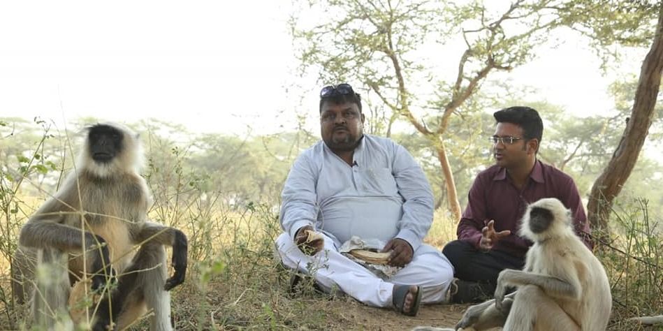 अहमदाबाद का यह शख्स अपने खर्च पर 500 से ज्यादा लंगूरों को खिलाता है खाना