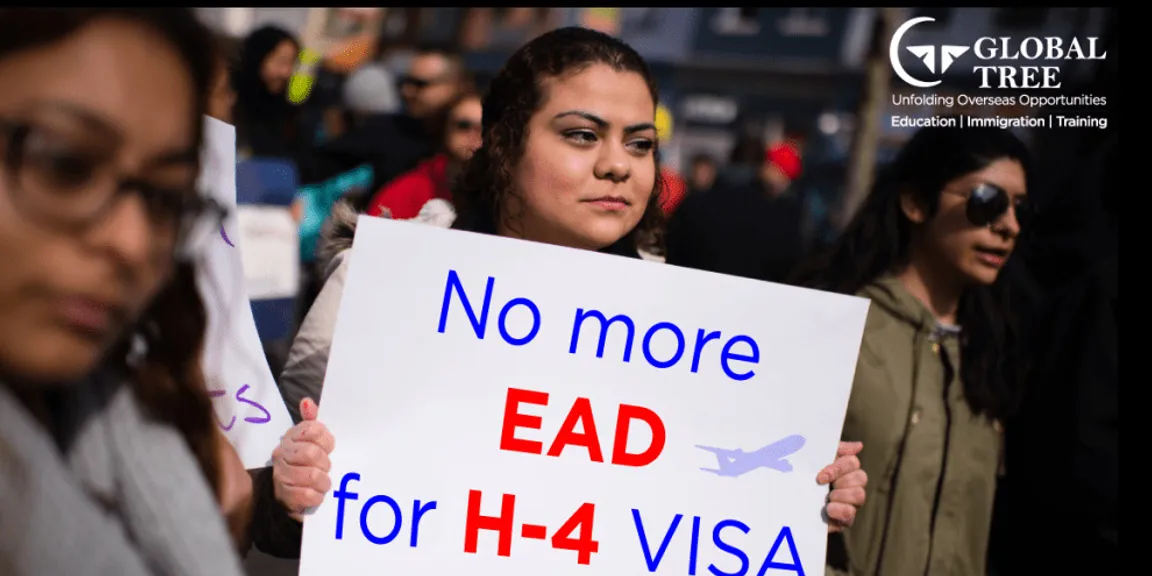 H-4 Visa EAD News: Immigration Process to USA, H-4 Visa for Work Permit, Migrate to USA – Global Tree