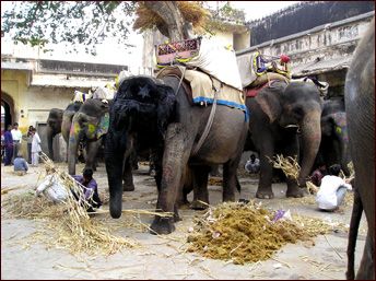 हे वाचा… तुमचा विश्वास बसेल; सगळं शक्य आहे, हवी फक्त एक ‘आयडिया’ची कल्पना!