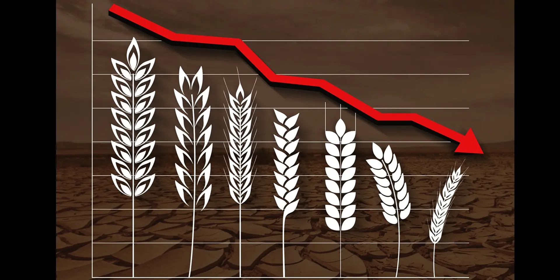 Climate Change: India’s battle between economy and environment