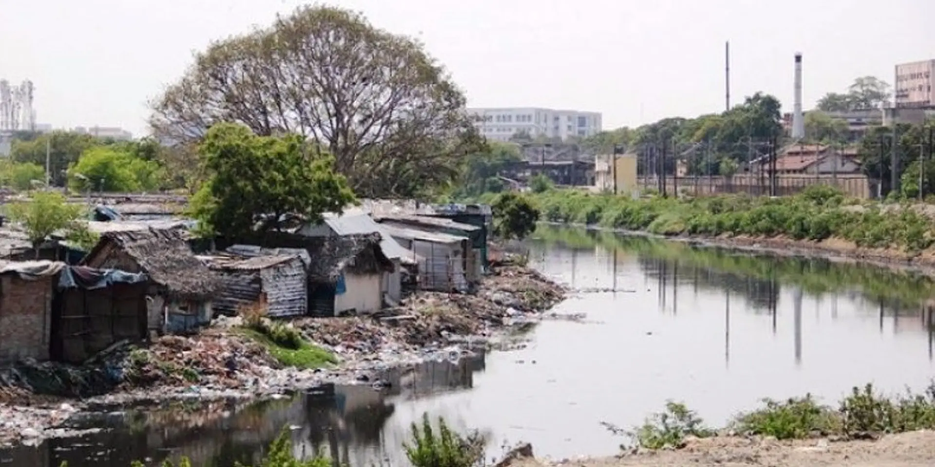 புராணங்களில் புனித நதியாக சொல்லப்பட்ட 'கூவம்' ஆறு, இன்று சாக்கடையாக மாறியது எப்படி?