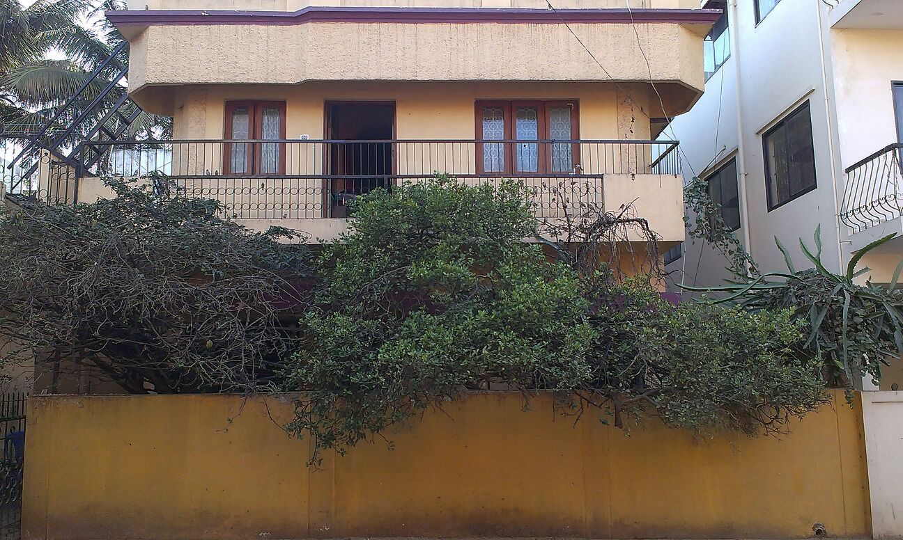 ಮೆಟ್ರೋ ಸಿಟಿಯಲ್ಲಿ ಗುಬ್ಬಚ್ಚಿಗಳಿಗೆ ಬೆಚ್ಚನೆ ಗೂಡು
