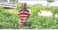 ସ୍ଵାବଲମ୍ବୀ ହେବା ପାଇଁ ପ୍ରୟାସ