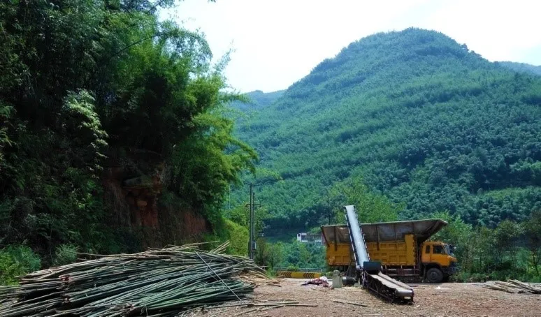 <i>Bamboo  chip mill in Chishui, China</i>