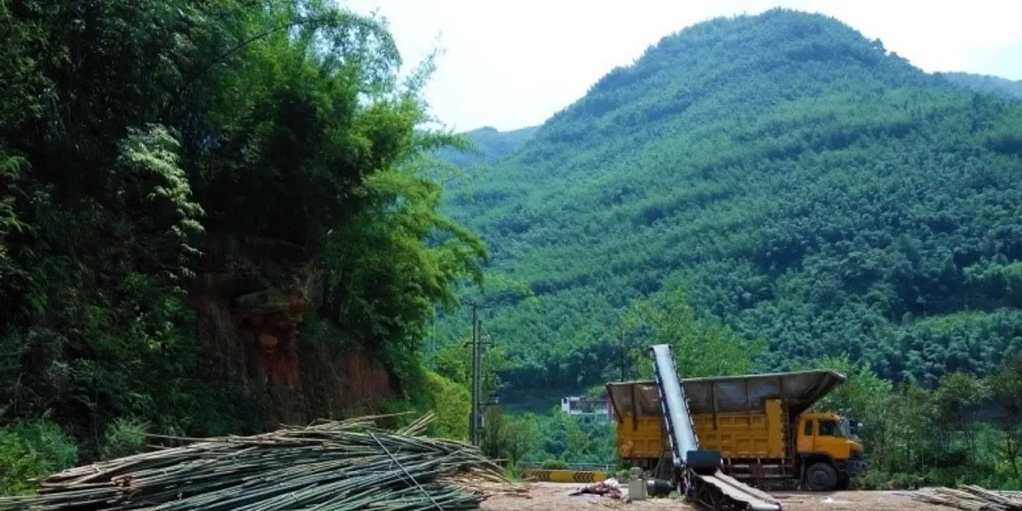 Coming Home – The impact of bamboo on the migrant workers in China