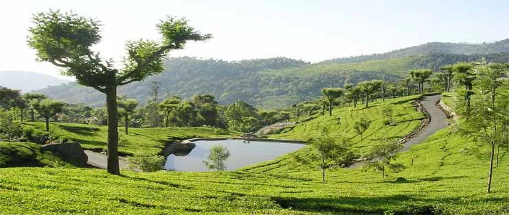 கோத்தகிரி