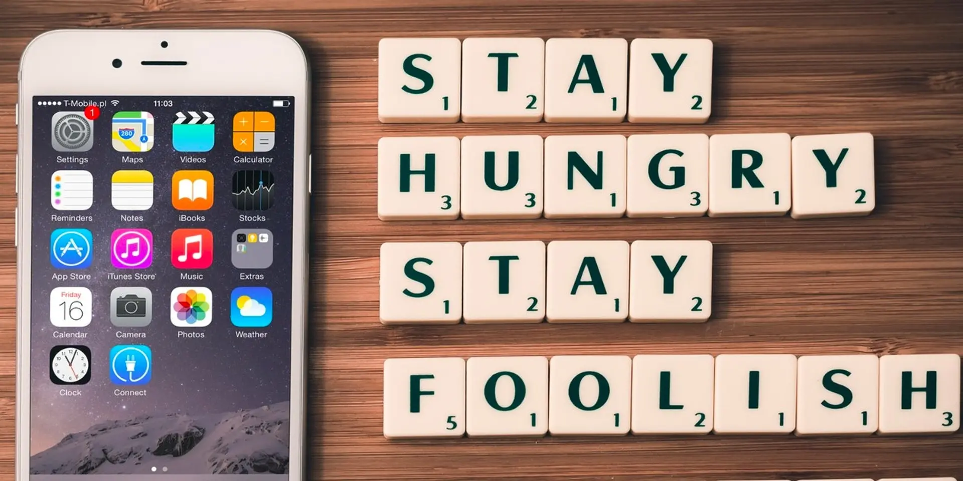 Chose right business registration which can perform for your long term success