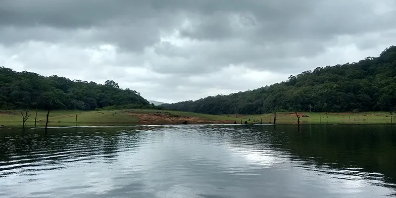 Figure 4 From the boat safari on Periyar Lake