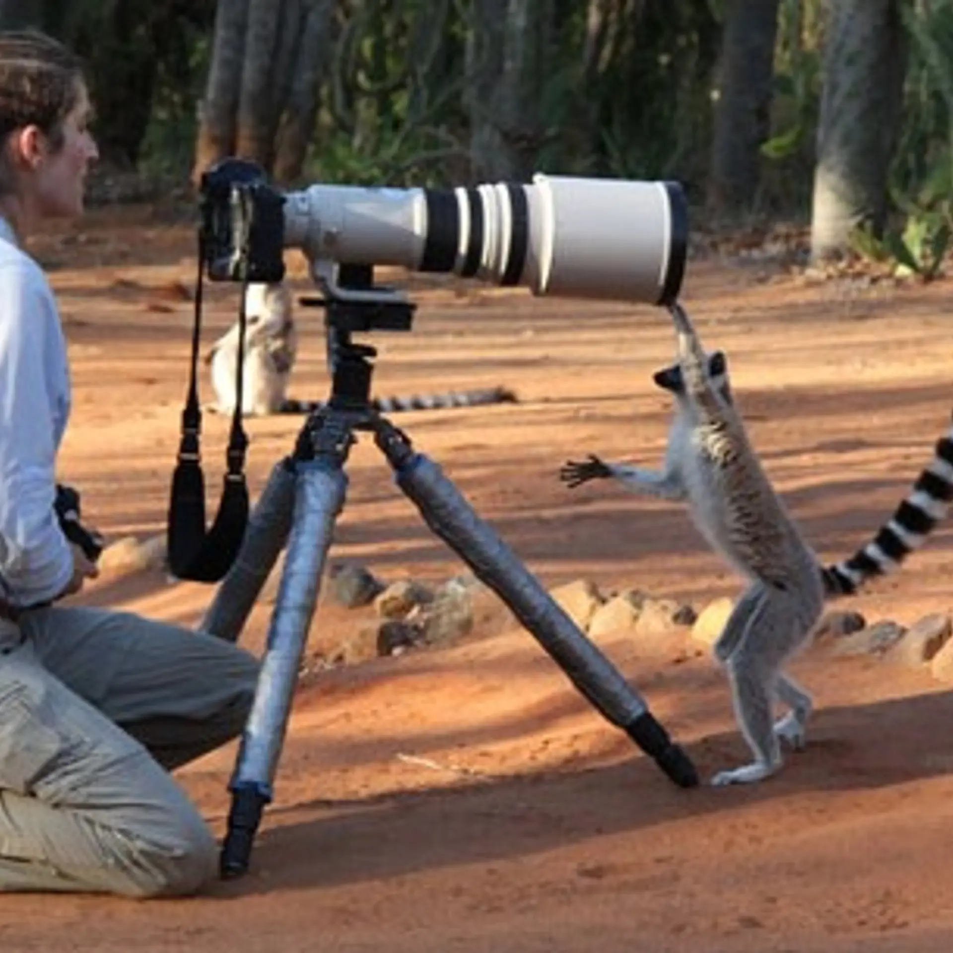 How to repair broken or truncated photo/video files