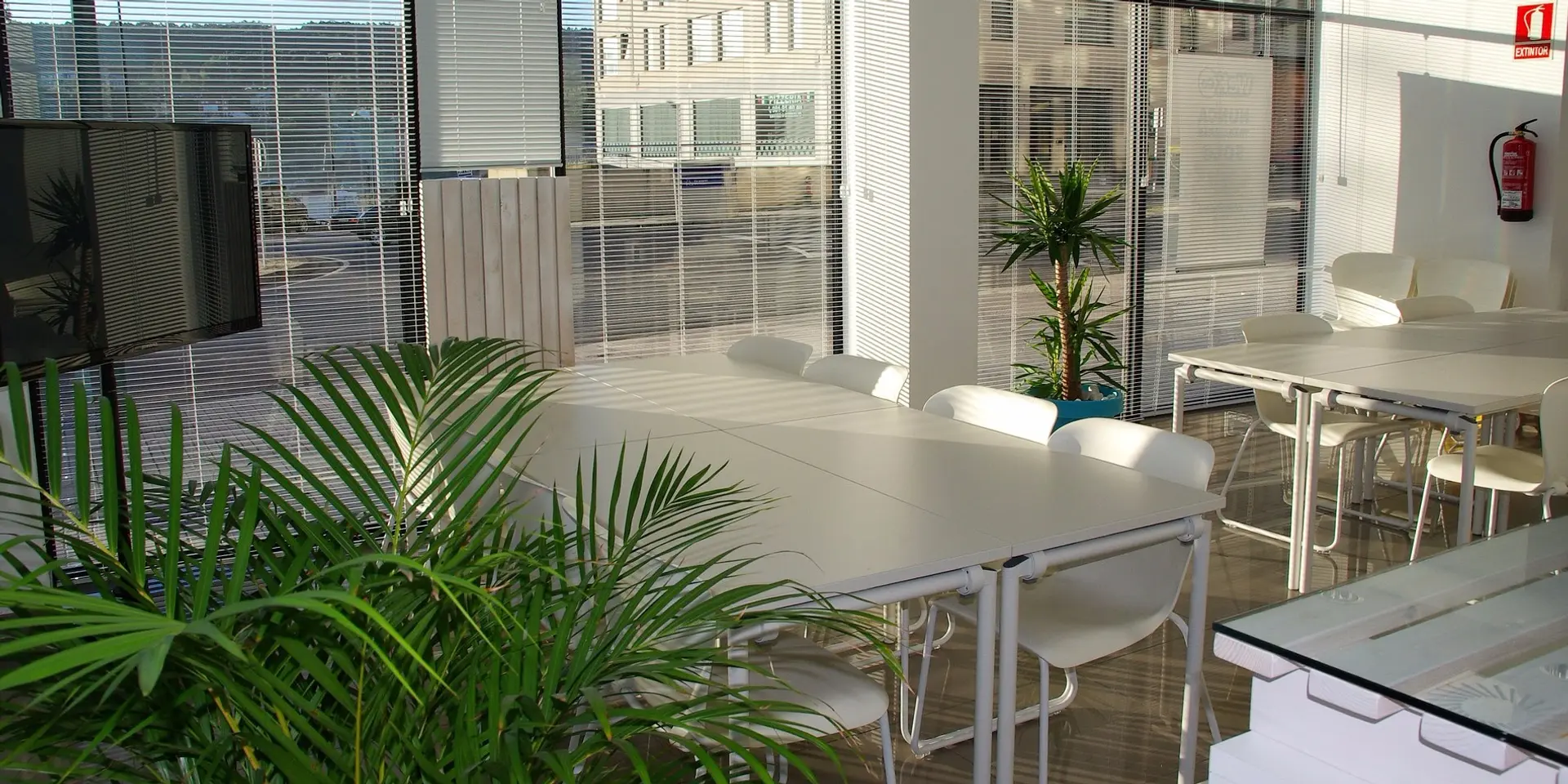 The Advantages of Setting Up Your Startup Office in A Co-Working Space