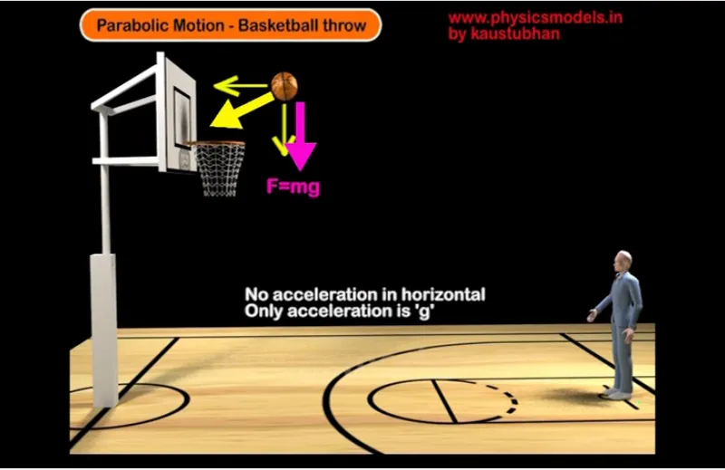 Horizontal and Vertical Forces