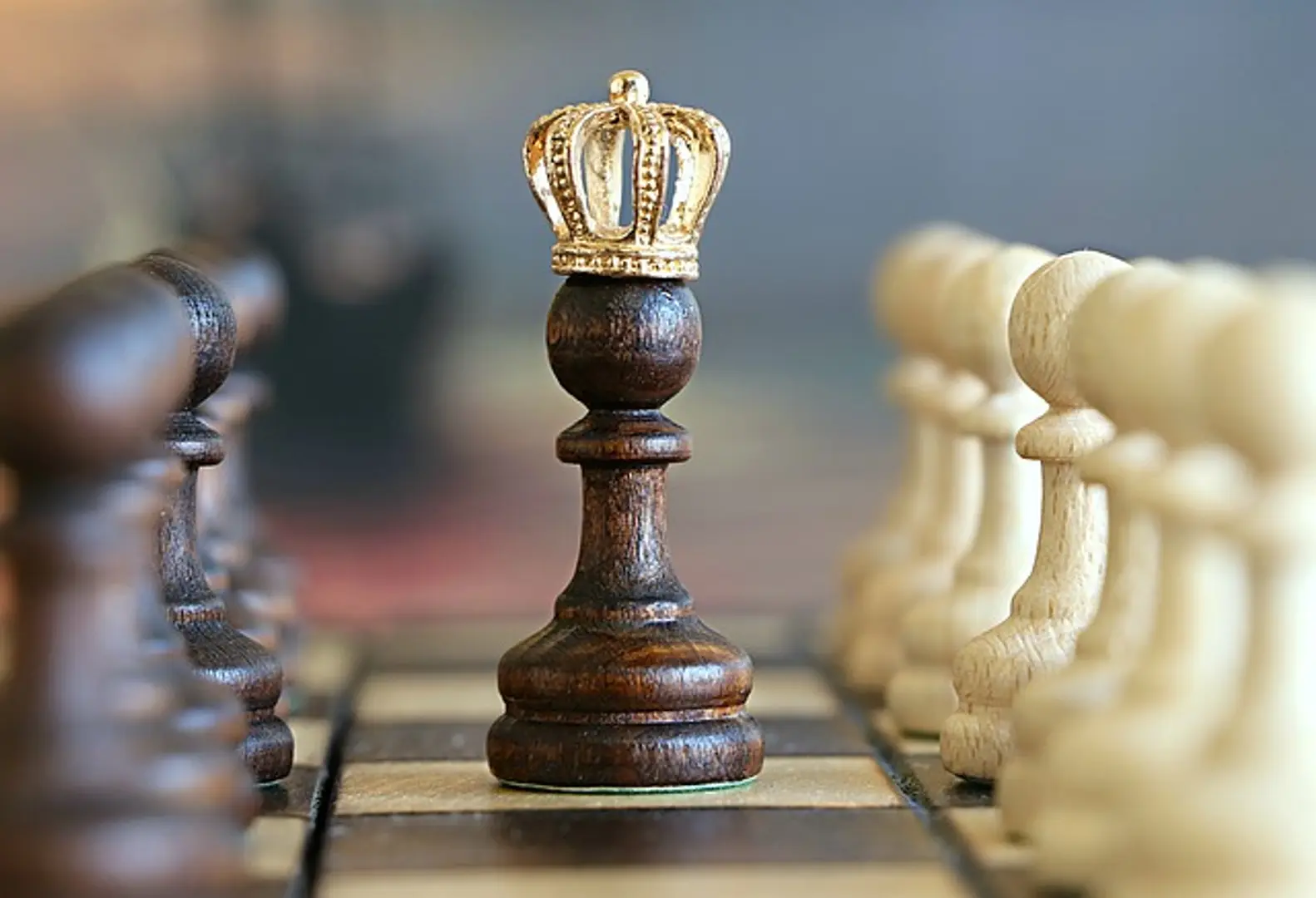 Why should you always choose elegance over winning?