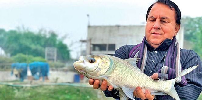 बिहार में मछलीपालन के जरिए ये किसान कमाता है हर साल 80 से 90 लाख रुपये
