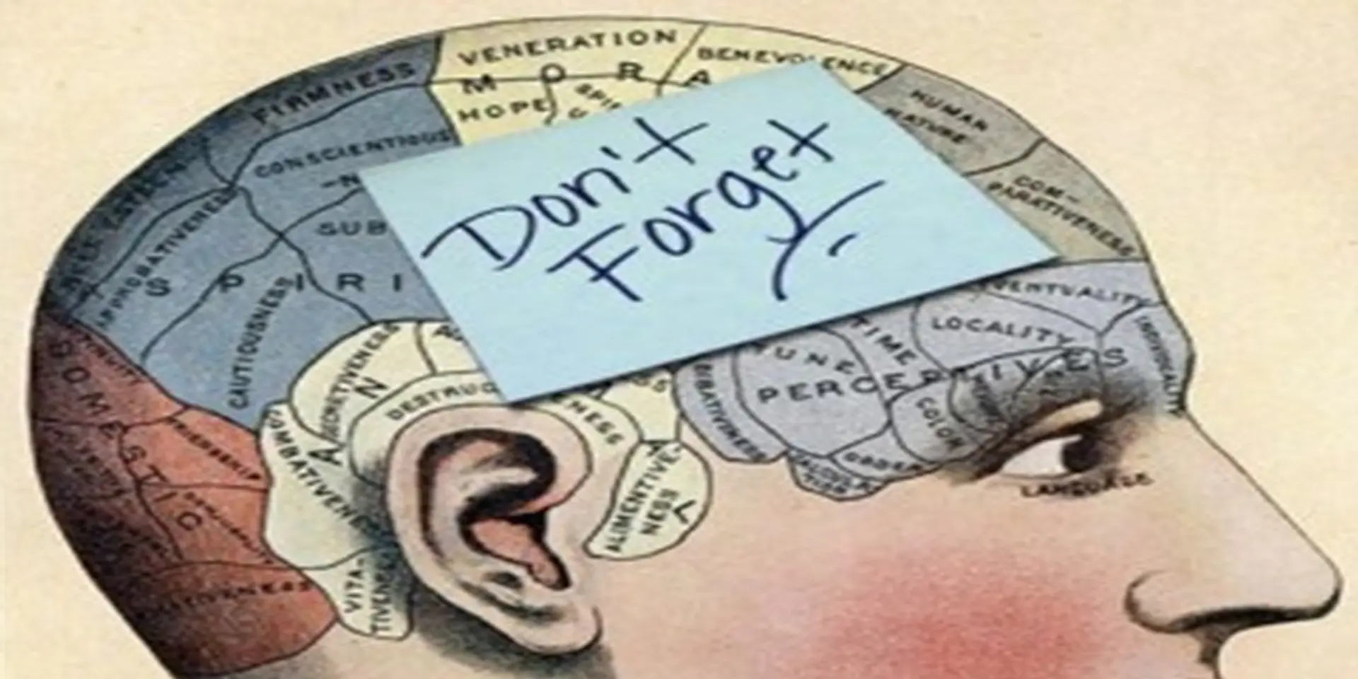 How to memorize anything using these techniques