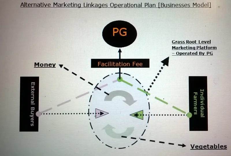 Alternative Business operational Model 