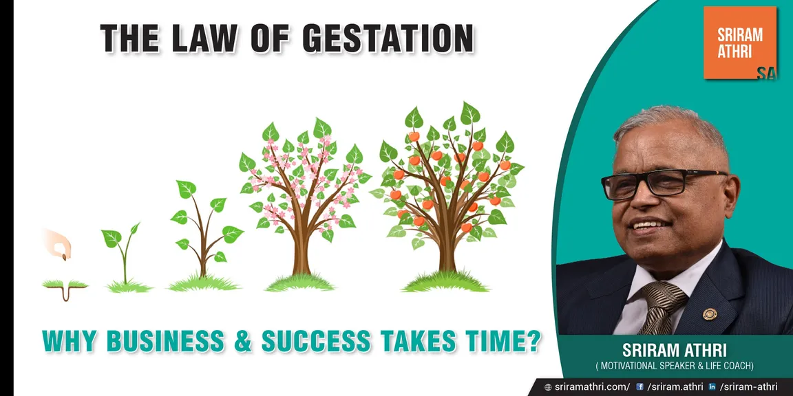 The law of gestation – why business and success take time?