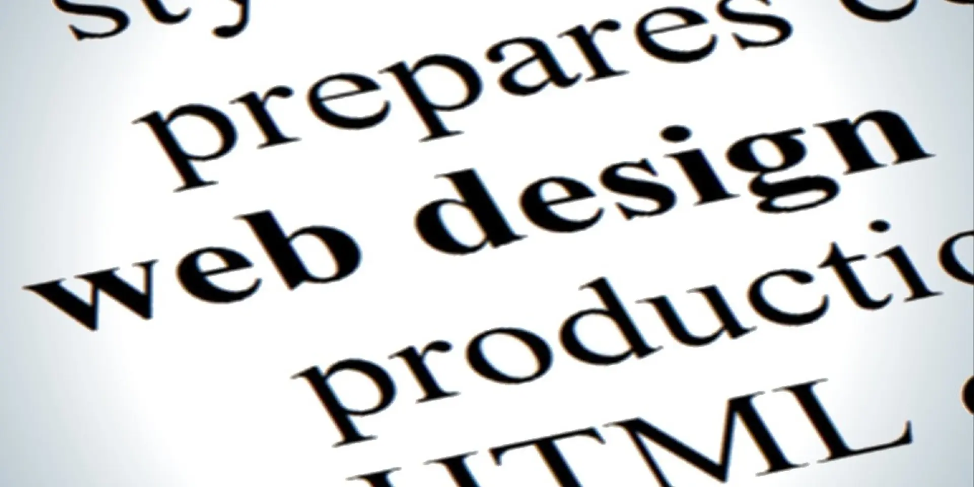 Web design principles that web designers should follow