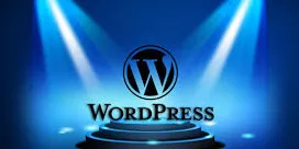 Hire Wordpress Developer India<br>