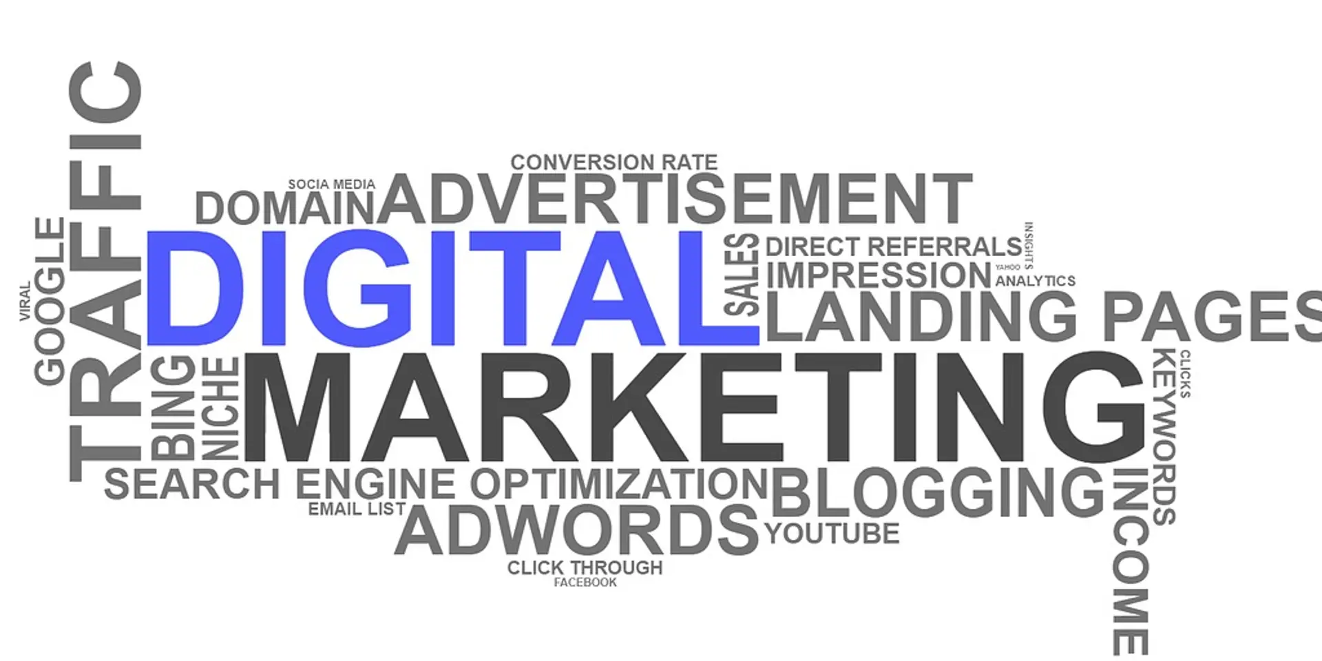 5 Digital Marketing Strategies I Used to Conquer My Market