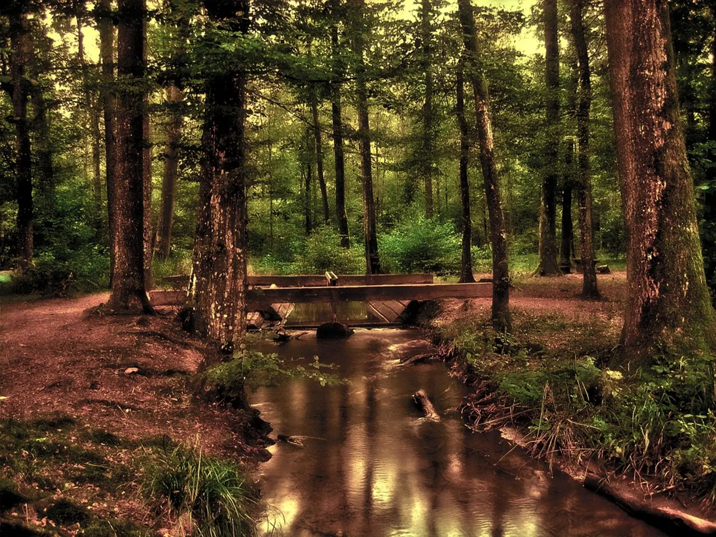 The water under the bridge
