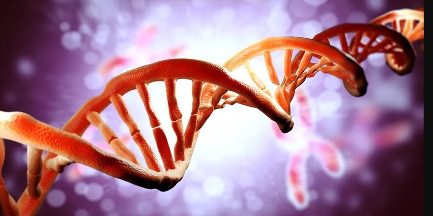 भविष्य में होने वाली बीमारियों से बचने के लिए युवा पीढ़ी करा रही है अपने जीन का परीक्षण