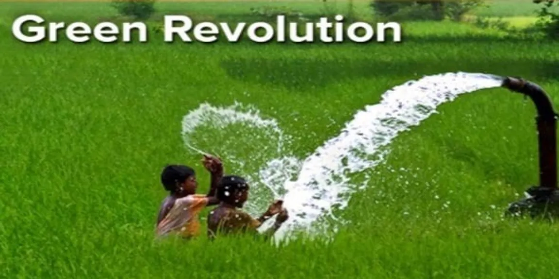 Freedom from hunger: Does India need a second Green Revolution?