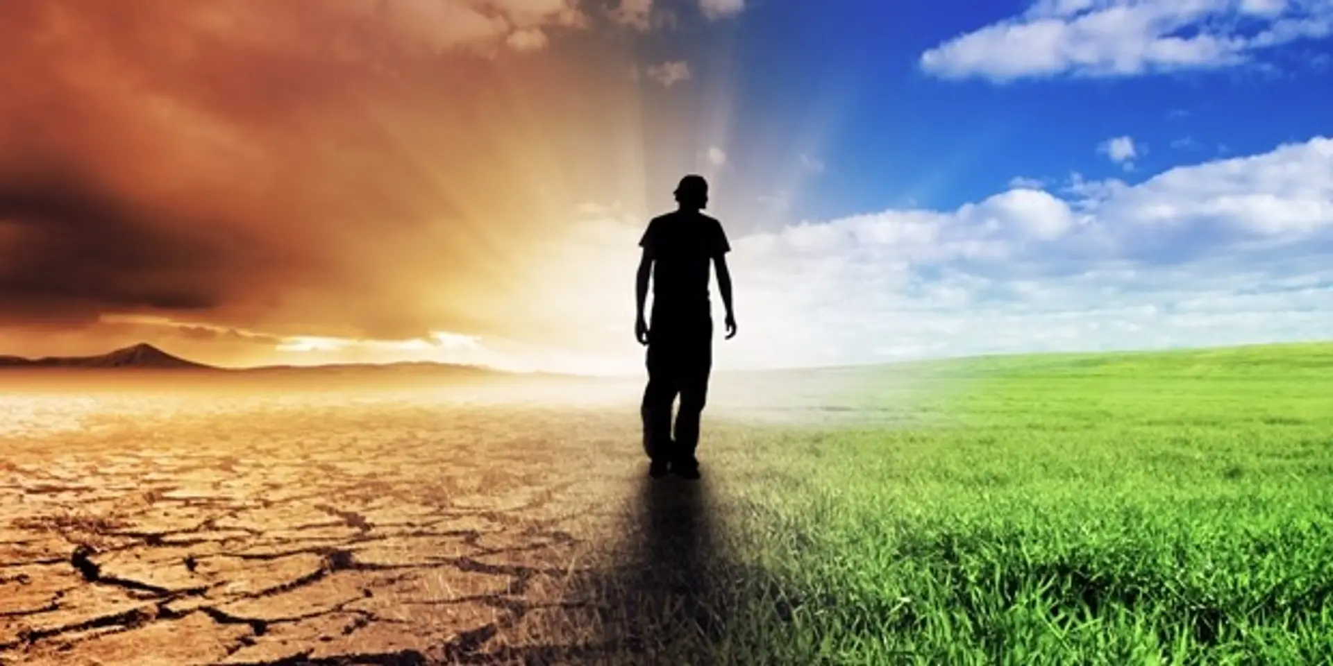 The Journey Less Traveled