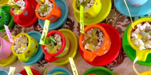 Cup and saucer planters !