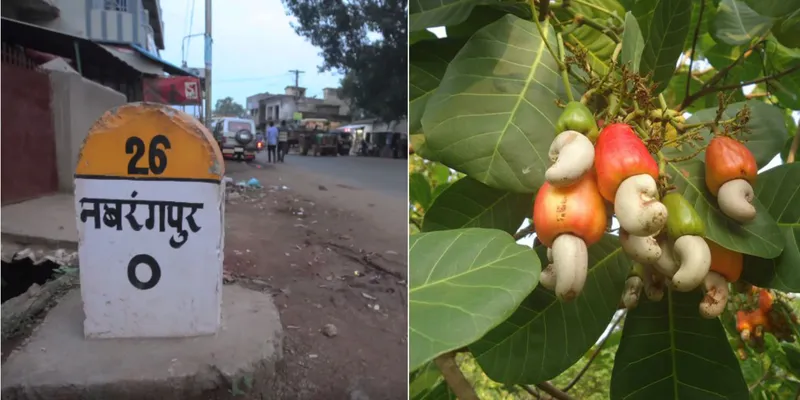 सांकेतिक तस्वीर