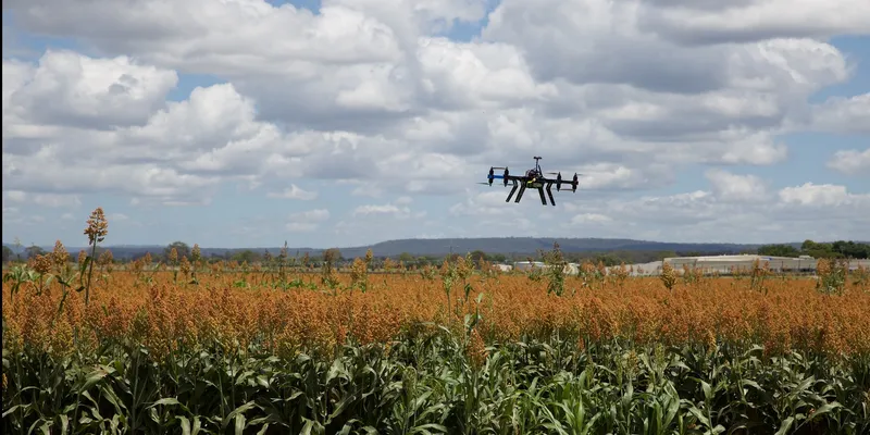 Precision farming