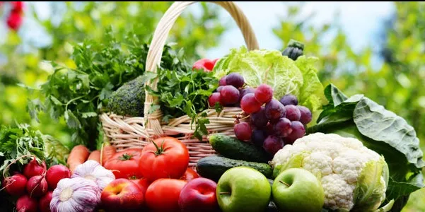 Eat Seasonal Fruits and Vegetables - Engineering Aspirants Health Tips