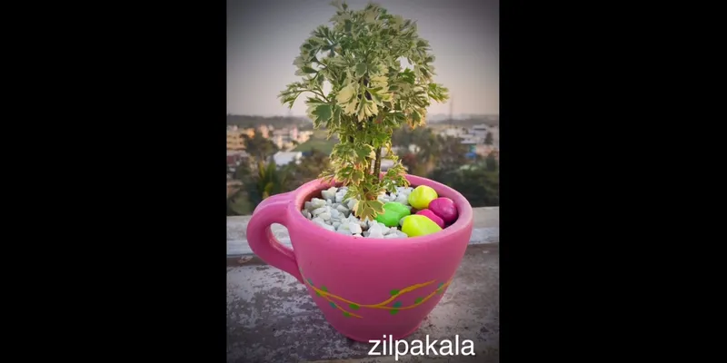 Cup planter