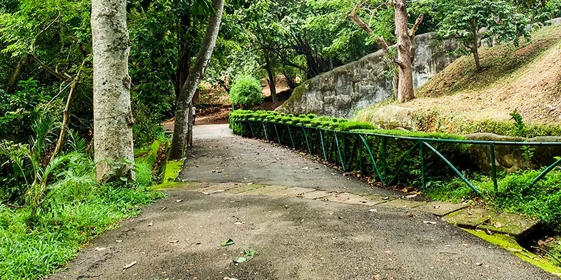 A stroll through the city zoo