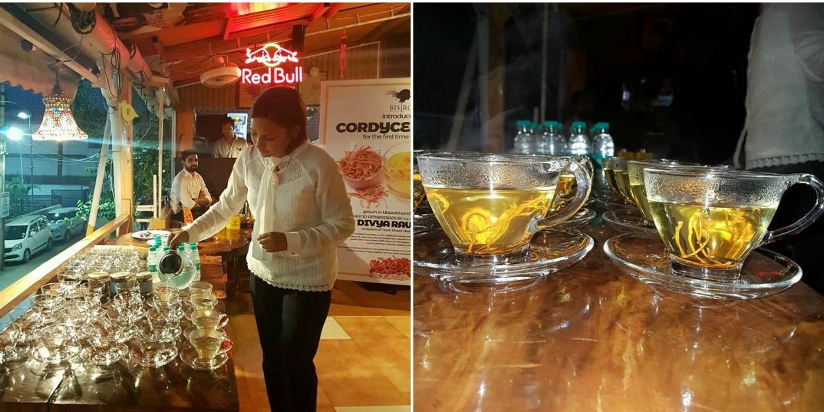 उत्तराखंड की मशरूम गर्ल ने खोला 'औषधि' चाय वाला रेस्टोरेंट, तैयार की 1.2 करोड़ की 'कीड़ाजड़ी'