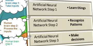 <b>Human brain and Artificial Intelligence</b>