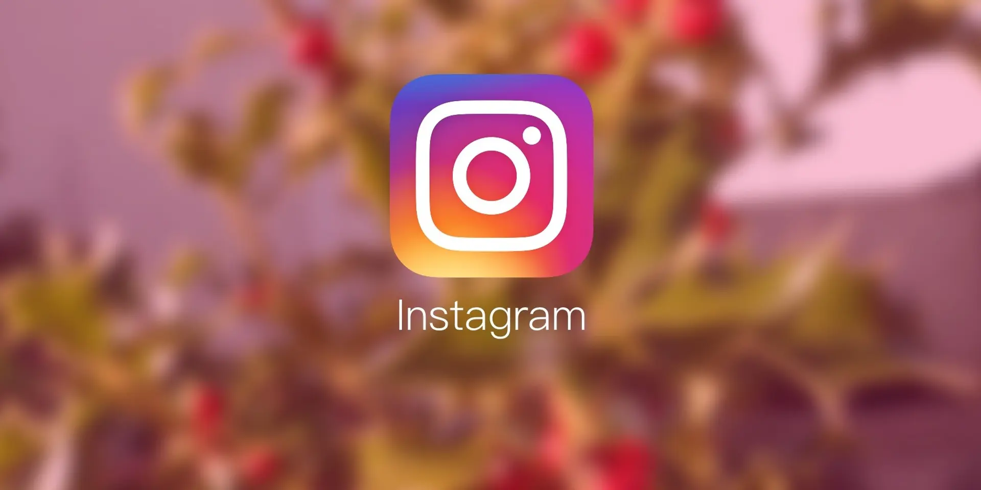 A web developers’ guide to finding freelance work on Instagram