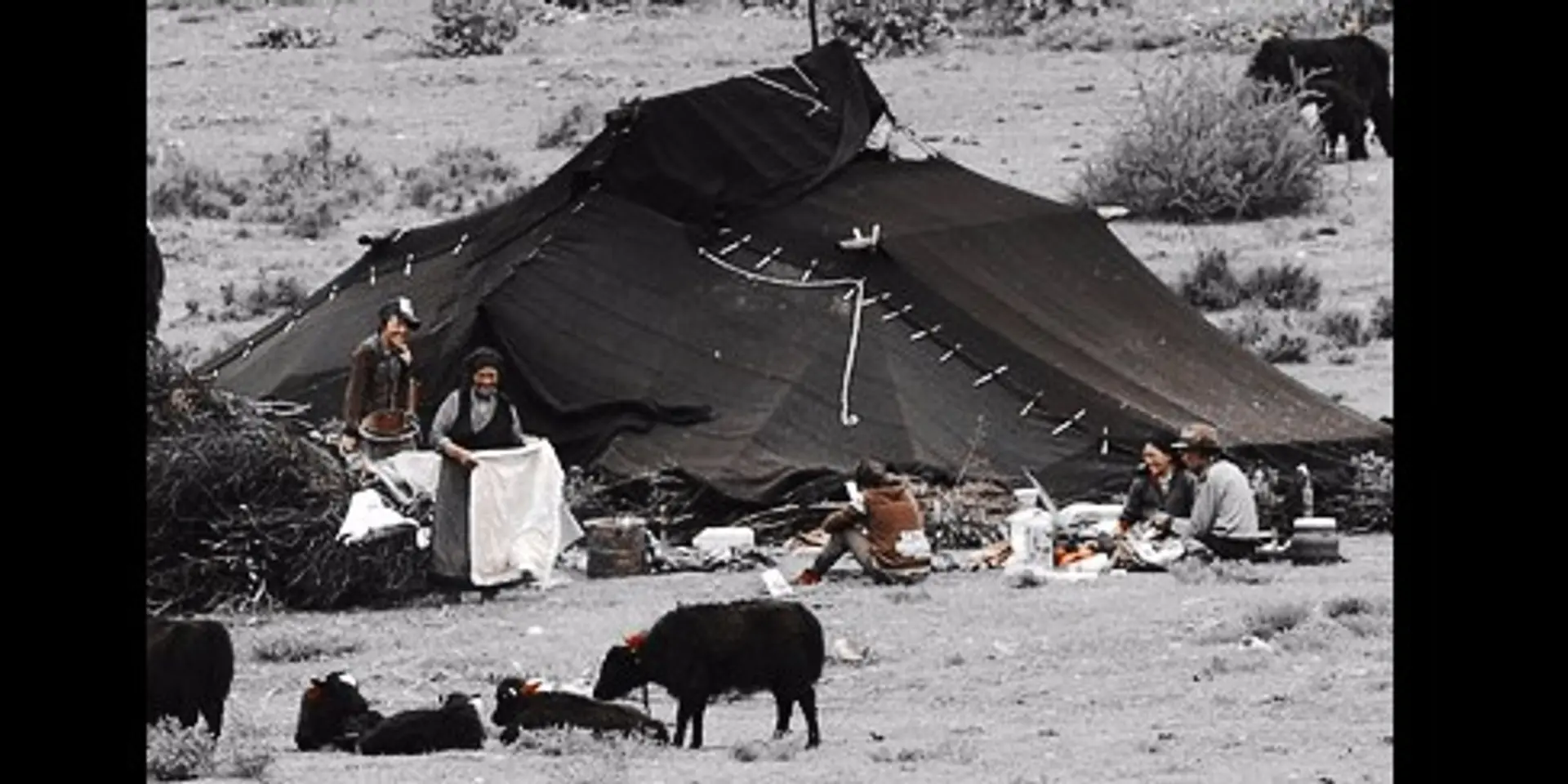 Digital Nomads of the 21st Century