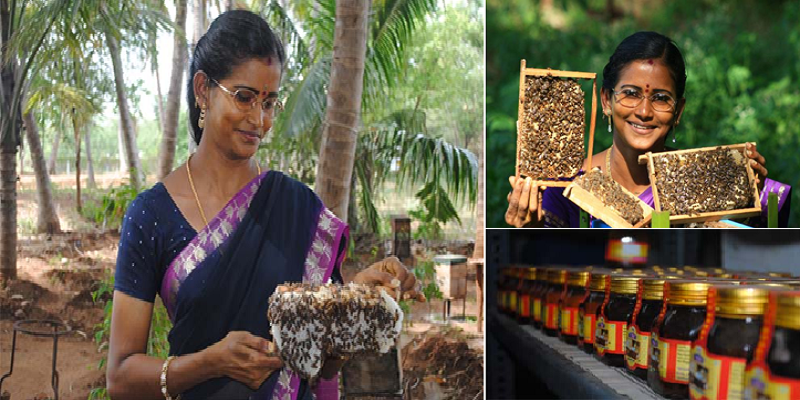 தொடர் இழப்புகளை சந்தித்து துவண்டுபோன பெண் உருவாக்கிய தேனீக்களின் சாம்ராஜ்யம்! 