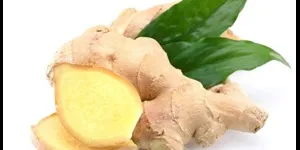 Ginger increases immunity - Engineering Aspirants Health Tips